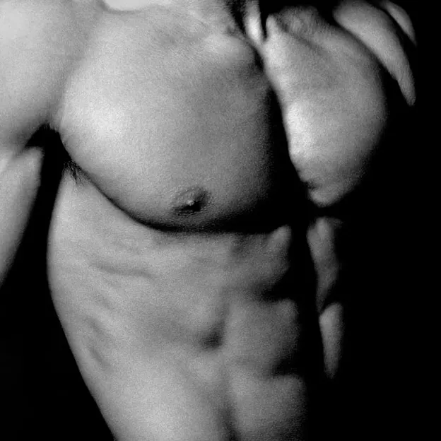 The Perfect Torso